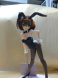 HARU01.jpg